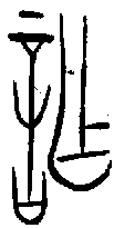 甲骨文金文篆体象形字的字形演变