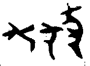 甲骨文金文篆体象形字的字形演变