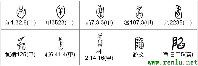 甲骨文,象形文字,金文,篆文,汉字的演变